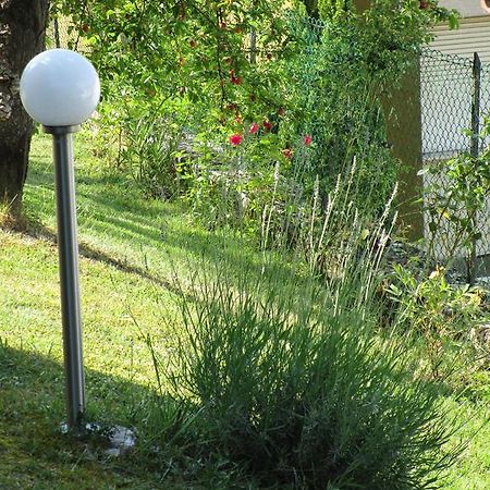 Casa Balducci Bed&Breakfast Mercatello sul Metauro Eksteriør bilde