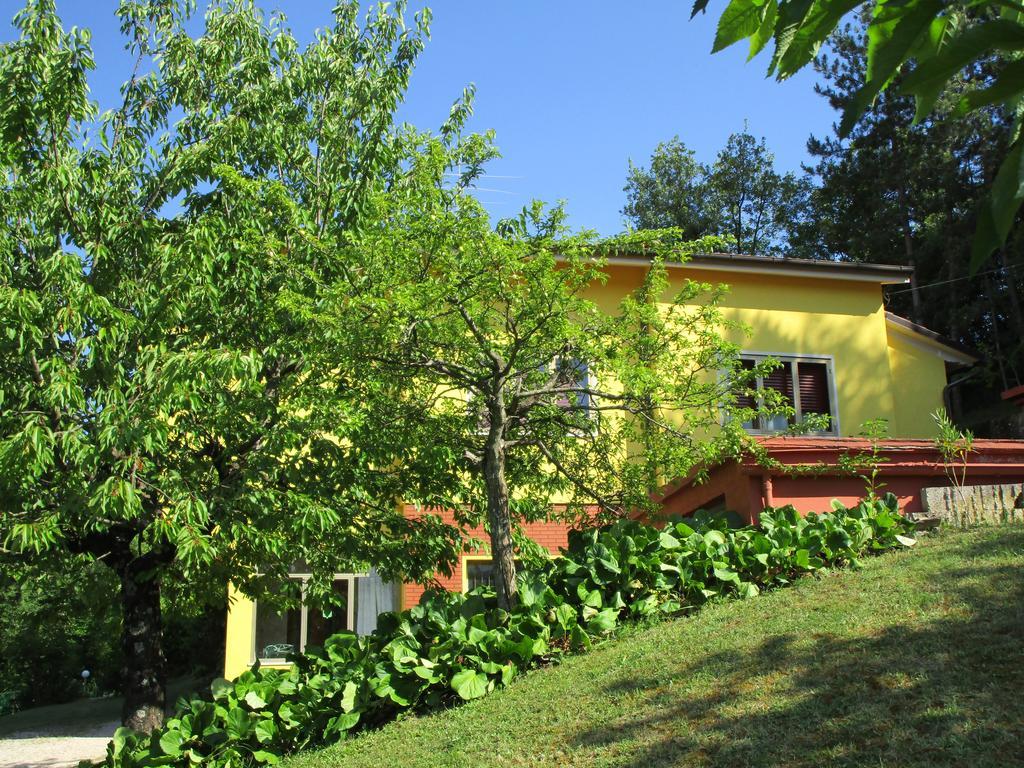 Casa Balducci Bed&Breakfast Mercatello sul Metauro Eksteriør bilde