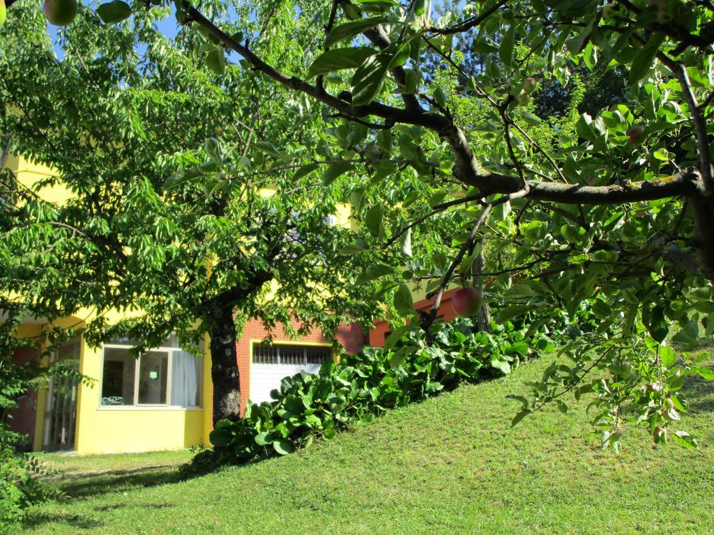 Casa Balducci Bed&Breakfast Mercatello sul Metauro Eksteriør bilde