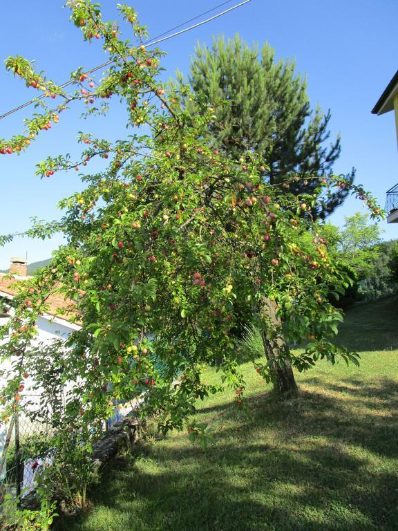 Casa Balducci Bed&Breakfast Mercatello sul Metauro Eksteriør bilde